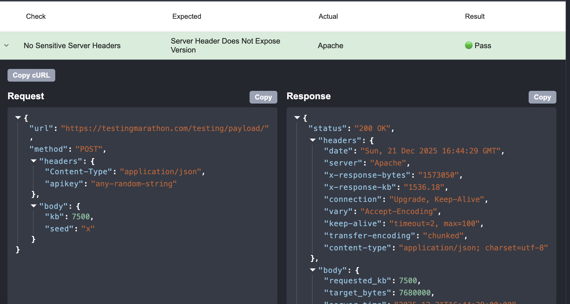 Rentgen flow: cURL in, tests out